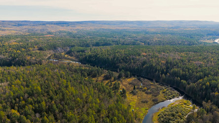 Similar image 22207837