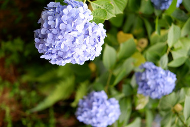 Similar image 22208776