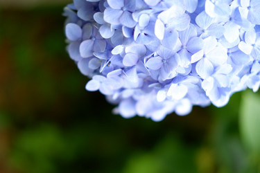 Similar image 22208777