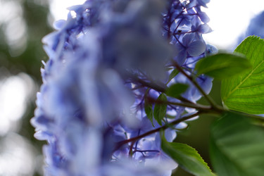 Similar image 22208778