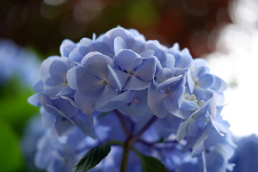 Similar image 22208779