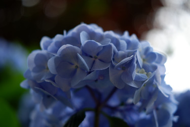 Similar image 22208780