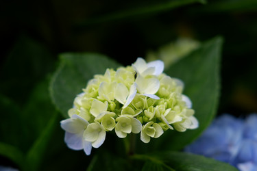 Similar image 22208783