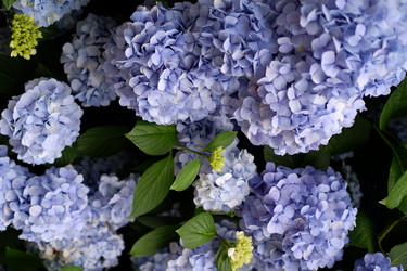 Similar image 22208784