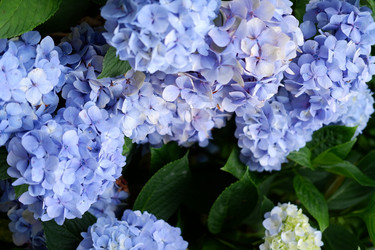 Similar image 22208785