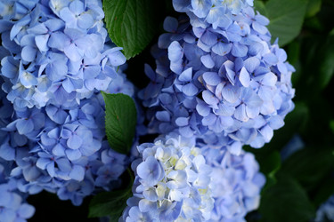 Similar image 22208786