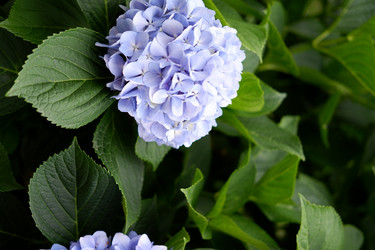 Similar image 22208788