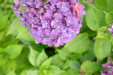 Similar image 22208789