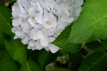 Similar image 22208790