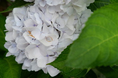 Similar image 22208791