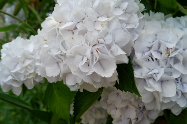 Similar image 22208792