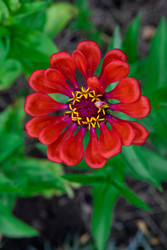 Similar image 22205763