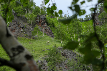 Similar image 22205764