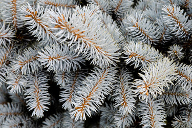 Similar image 22205765