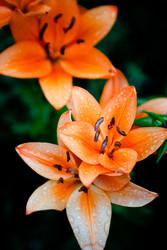 Similar image 22205767