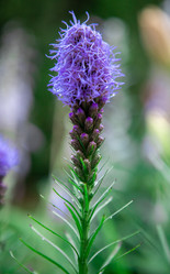 Similar image 22205768