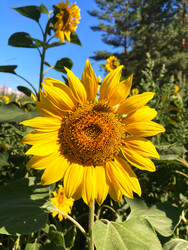 Similar image 22206356