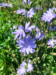 Similar image 22206357