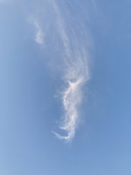 Similar image 22206359