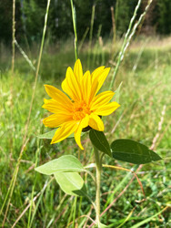 Similar image 22206360