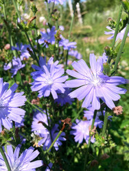 Similar image 22206361