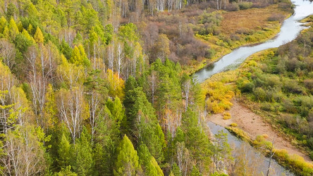 Similar image 22207514