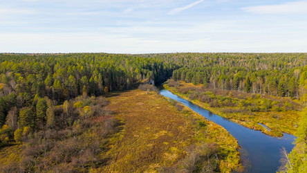 Similar image 22207527