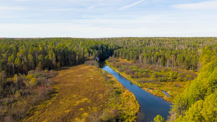 Similar image 22207546