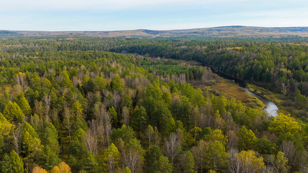 Similar image 22207549