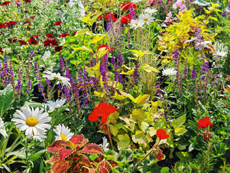 Similar image 22206389