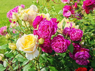 Similar image 22206428