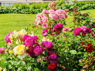 Similar image 22206429