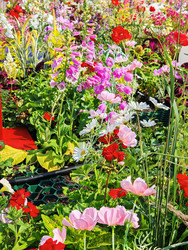 Similar image 22206432