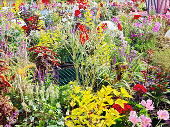 Similar image 22206433