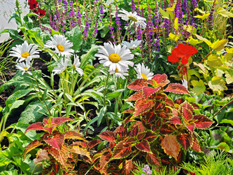 Similar image 22206434