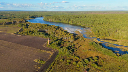 Similar image 22207408