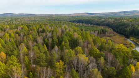 Similar image 22207427