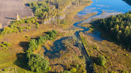 Similar image 22207428