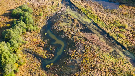 Similar image 22207561