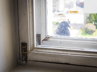 Similar image 22206582