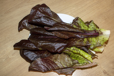 Similar image 22206888