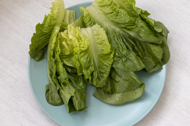 Similar image 22206890