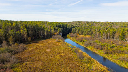 Similar image 22207430