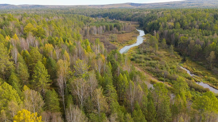 Similar image 22207443