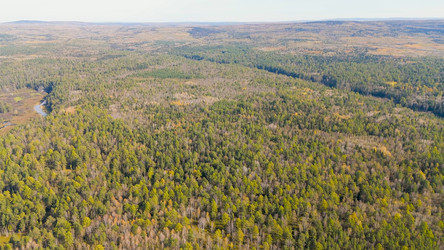 Similar image 22207449