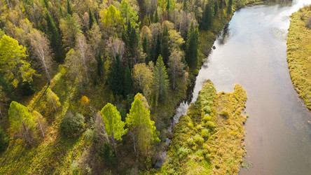 Similar image 22207570