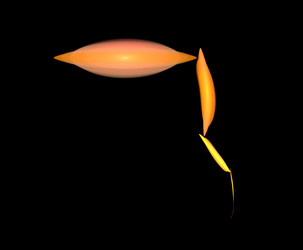 Similar image 22207010