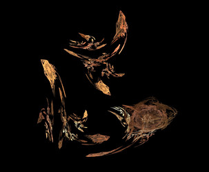 Similar image 22207012