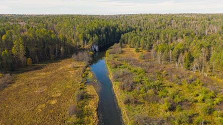 Similar image 22207854