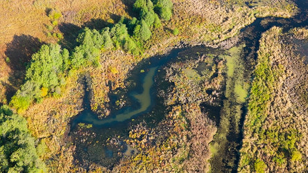 Similar image 22207855